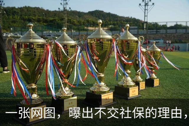一张网图，曝出不交社保的理由，五花八门，让人哭笑不得