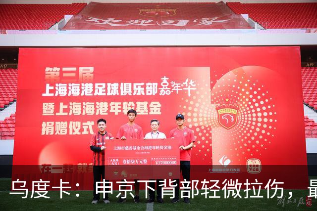 乌度卡：申京下背部轻微拉伤，最多缺席几场