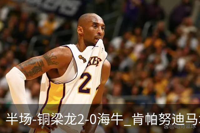半场-铜梁龙2-0海牛 肯帕努迪马塔破门孙正傲乌龙被吹