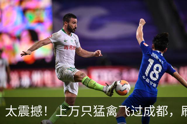 太震撼！上万只猛禽飞过成都，刷新本地纪录