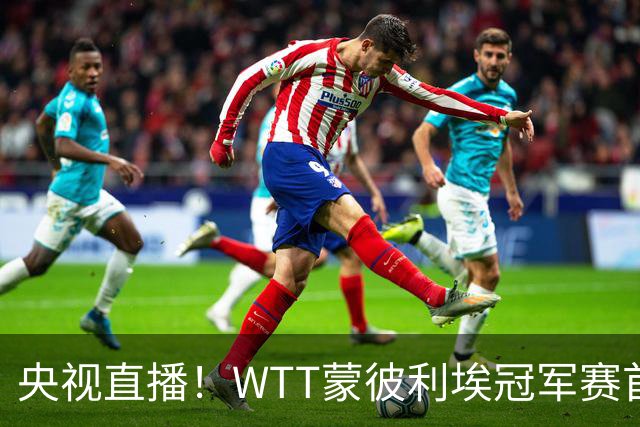 央视直播！WTT蒙彼利埃冠军赛首日赛程出炉，孙颖莎不食言迎复出首秀，万众期待