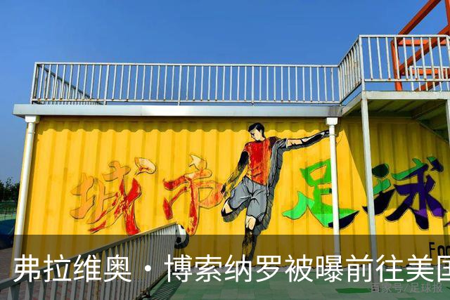 弗拉维奥·博索纳罗被曝前往美国“流亡”