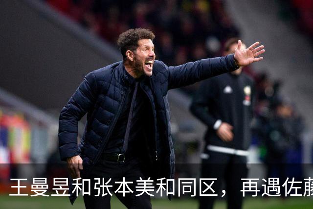 王曼昱和张本美和同区，再遇佐藤瞳，孙颖莎和早田希娜同区