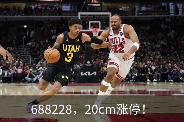 688228，20cm涨停！